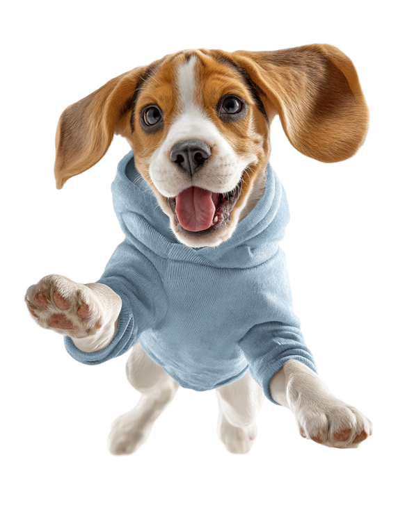 Jumping Beagle Dog V2 Vinyl Car Decal Sticker – Waterproof & UV-Resistant 8.213333333333333"