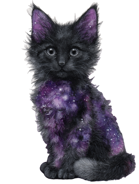 Cosmic Cat Illustration Vinyl Car Decal Sticker – Waterproof & UV-Resistant 4.1066666666666665"