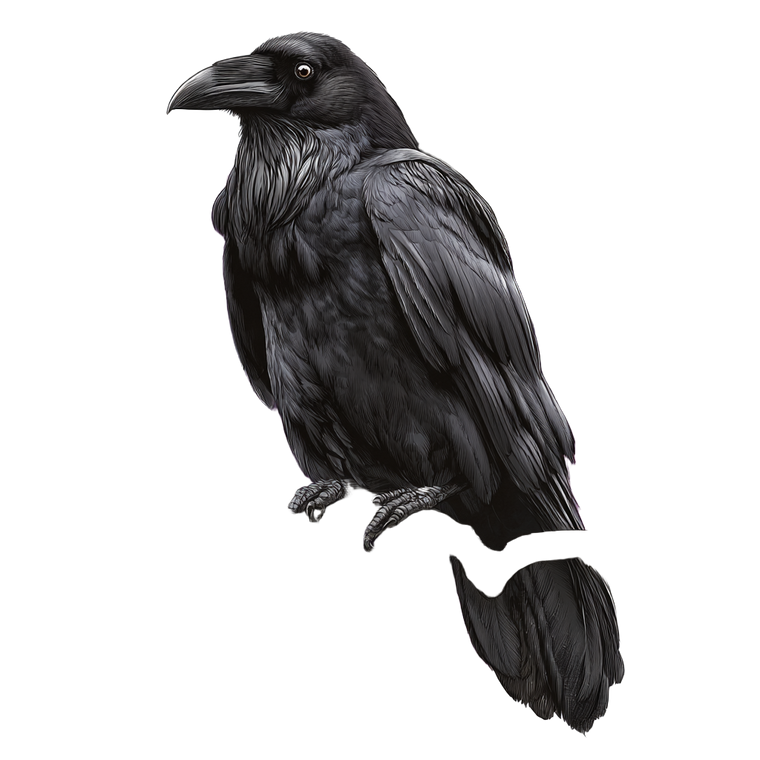 Dark Raven Tattoo V2 Vinyl Car Decal Sticker – Waterproof & UV-Resistant 3.4133333333333336"