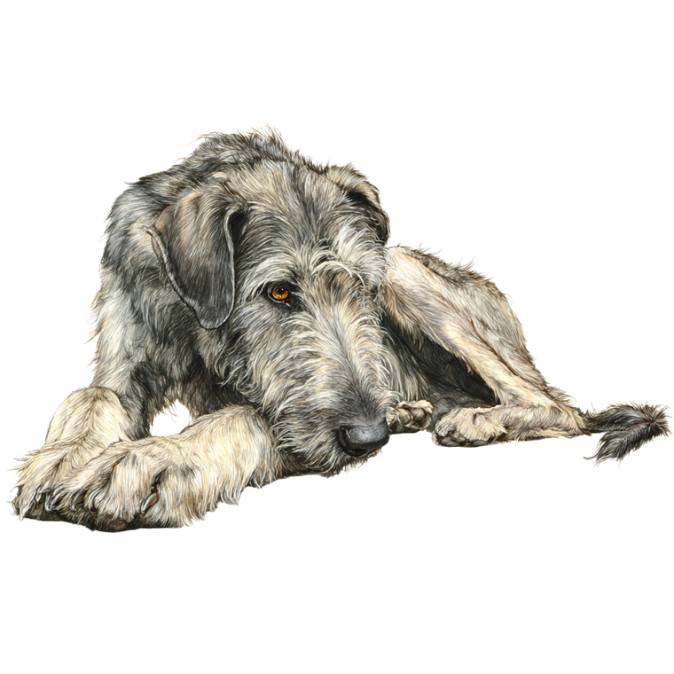 Irish Wolfhound Playing Vinyl Car Decal Sticker – Waterproof & UV-Resistant 3.4133333333333336"