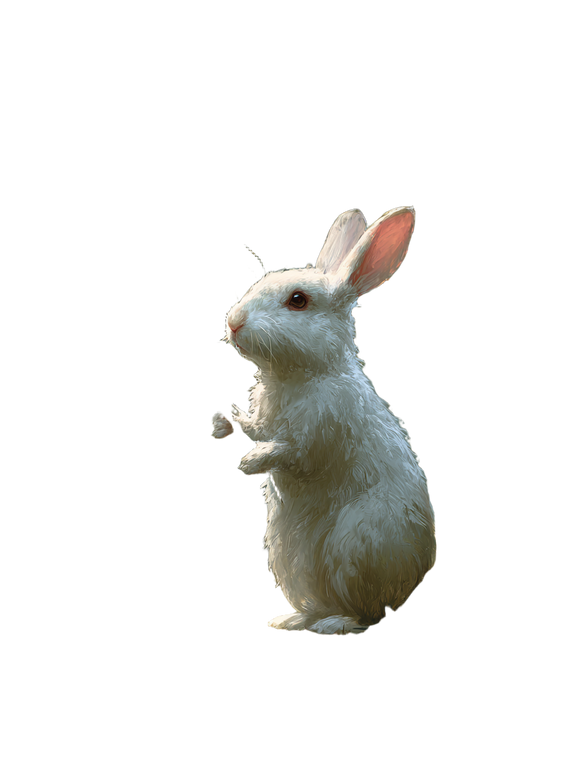 Rabbit With Flower V3 Vinyl Car Decal Sticker – Waterproof & UV-Resistant 8.213333333333333"