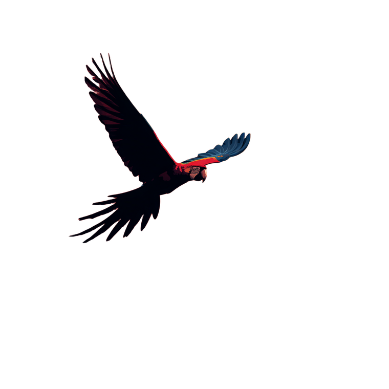 Flying Macaw Silhouette Vinyl Car Decal Sticker – Waterproof & UV-Resistant 3.4133333333333336"