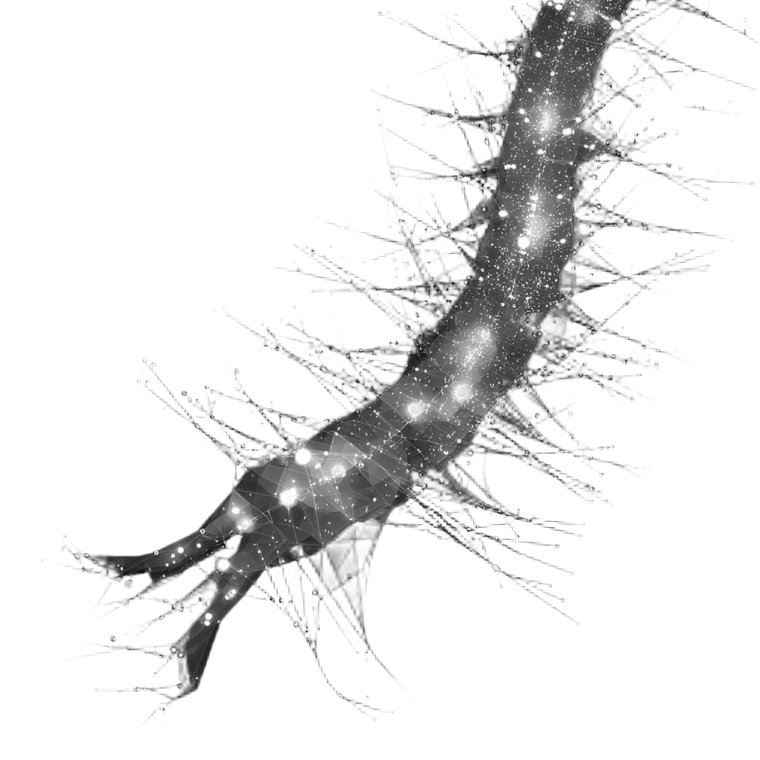 Neural Centipede Organism V2 Vinyl Car Decal Sticker – Waterproof & UV-Resistant 6.826666666666667"