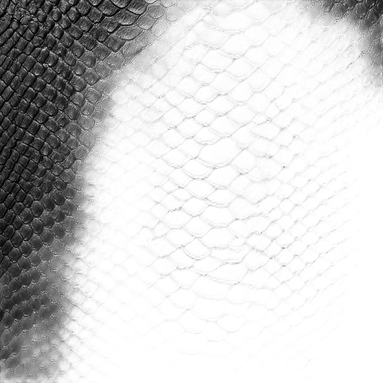 Snakeskin Texture Vinyl Car Decal Sticker – Waterproof & UV-Resistant 3.4133333333333336"