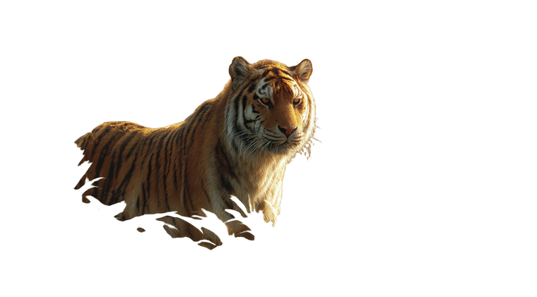 Majestic Tiger V19 Vinyl Car Decal Sticker – Waterproof & UV-Resistant 2.72"