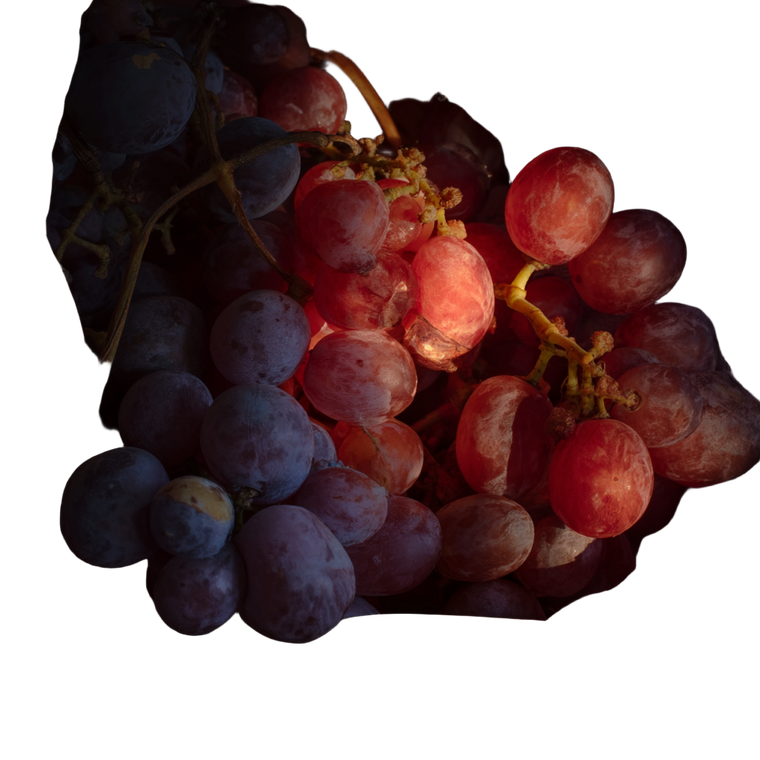 Grapes In Basket Vinyl Car Decal Sticker – Waterproof & UV-Resistant 6.826666666666667"
