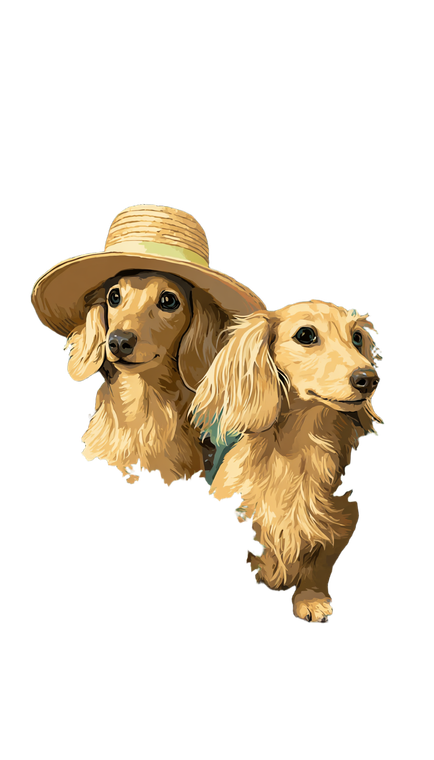 Dachshund Farmers Vinyl Car Decal Sticker – Waterproof & UV-Resistant 4.8533333333333335"