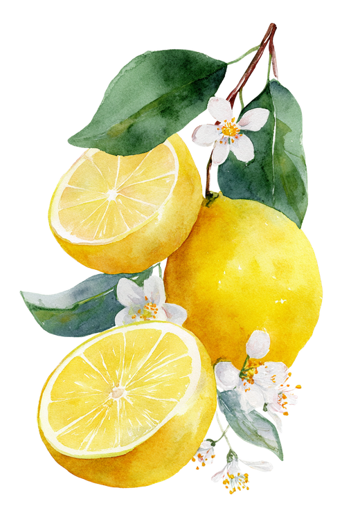 Lemon Slice Arrangement Vinyl Car Decal Sticker – Waterproof & UV-Resistant 8.96"