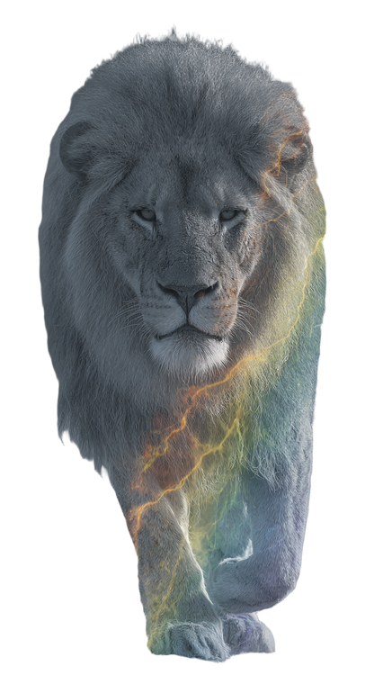 Lightning Rainbow Lion Vinyl Car Decal Sticker – Waterproof & UV-Resistant 9.706666666666667"