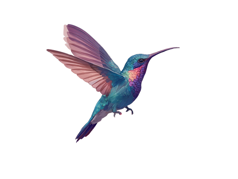 Rainbow Hummingbird Logo Vinyl Car Decal Sticker – Waterproof & UV-Resistant 6.1866666666666665"