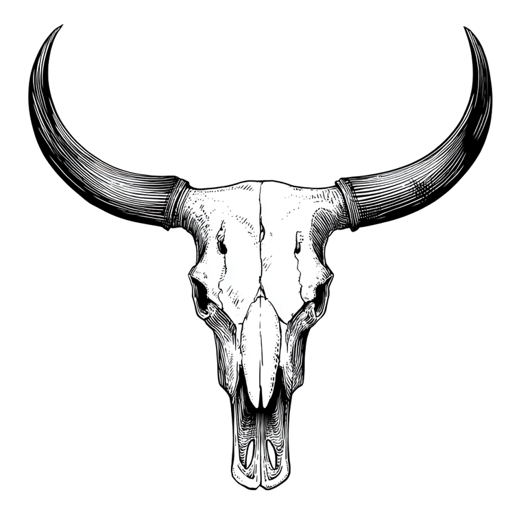 Bull Skull Vector Vinyl Car Decal Sticker – Waterproof & UV-Resistant 3.4133333333333336"