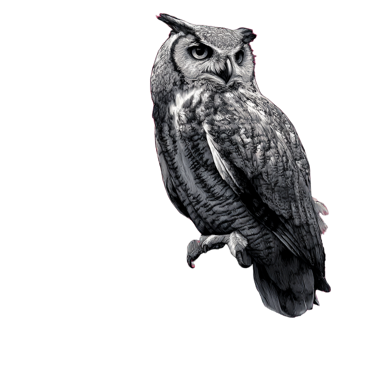 Graffiti Owl Perched Vinyl Car Decal Sticker – Waterproof & UV-Resistant 3.4133333333333336"
