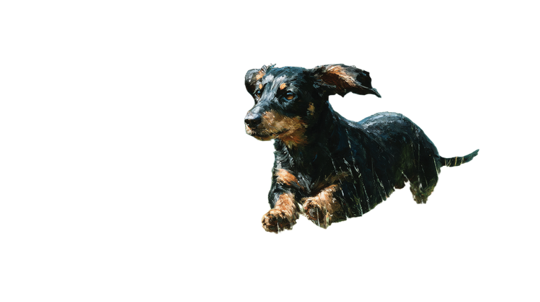 Running Dachshund Giagia Vinyl Car Decal Sticker – Waterproof & UV-Resistant 2.72"