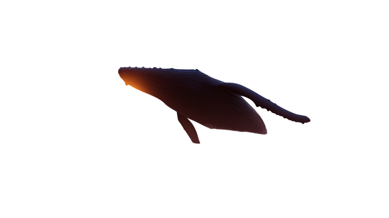 Whale Sunset Vinyl Car Decal Sticker – Waterproof & UV-Resistant 5.4