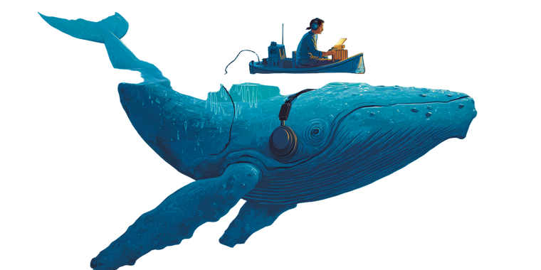 Whale With Headphones Vinyl Car Decal Sticker – Waterproof & UV-Resistant 5.12"