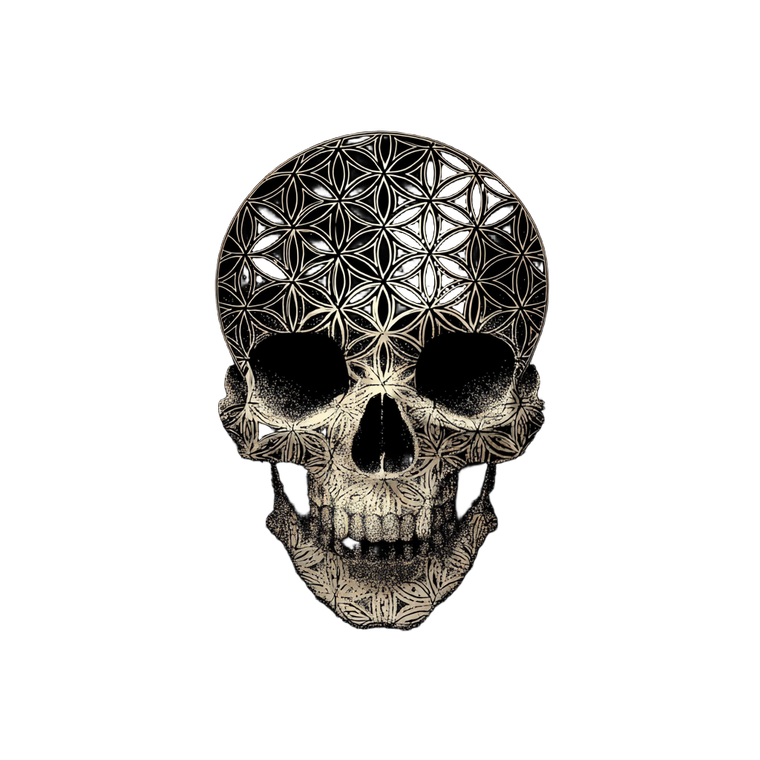 Skull With Flower Vinyl Car Decal Sticker – Waterproof & UV-Resistant 6.826666666666667"