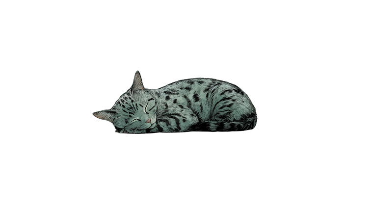 Sleeping Luxury Cat Vinyl Car Decal Sticker – Waterproof & UV-Resistant 2.72"