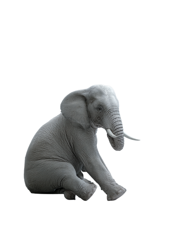 Elephant On Worker Vinyl Car Decal Sticker – Waterproof & UV-Resistant 4.1066666666666665"