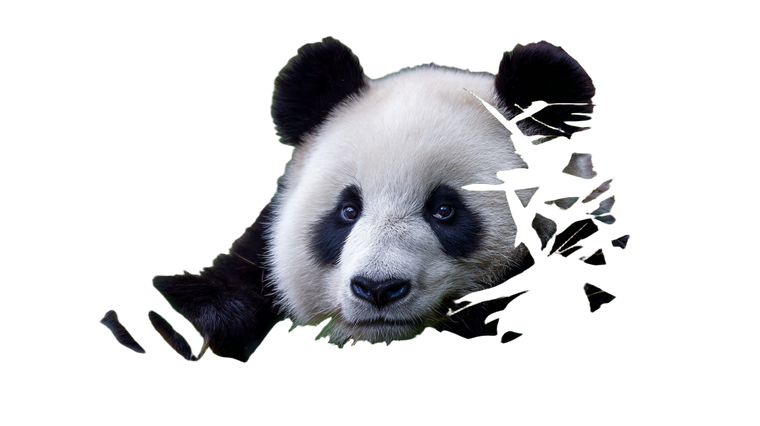 Panda In Jeans Vinyl Car Decal Sticker – Waterproof & UV-Resistant 5.4