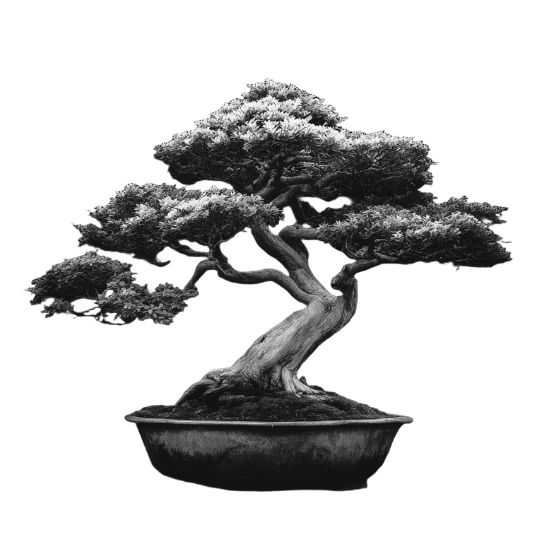Bonsai Tree V2 Vinyl Car Decal Sticker – Waterproof & UV-Resistant 6.826666666666667"