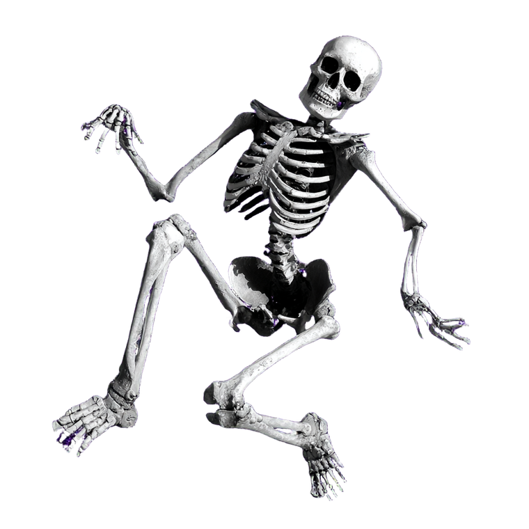 Silly Dancing Skeleton Vinyl Car Decal Sticker – Waterproof & UV-Resistant 3.4133333333333336"