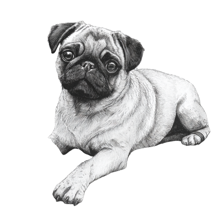 Steampunk Pug Puppy Vinyl Car Decal Sticker – Waterproof & UV-Resistant 3.4133333333333336"