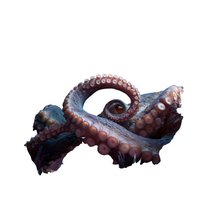 Octopus Tentacle Crawling Vinyl Car Decal Sticker – Waterproof & UV-Resistant 6.826666666666667"