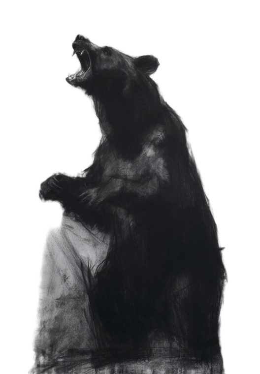 Abstract Bear Roaring Vinyl Car Decal Sticker – Waterproof & UV-Resistant 4.373333333333333"