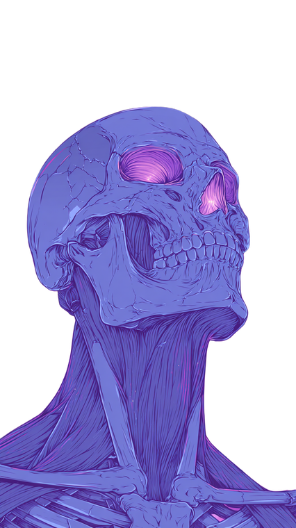 Neck Anatomy Illustration Vinyl Car Decal Sticker – Waterproof & UV-Resistant 4.8533333333333335"