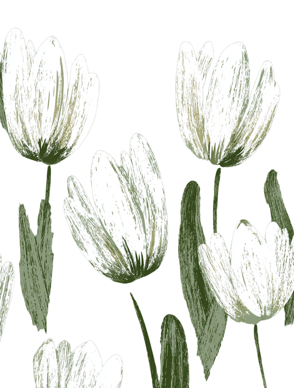 Minimalist White Tulips Vinyl Car Decal Sticker – Waterproof & UV-Resistant 4.213333333333333"