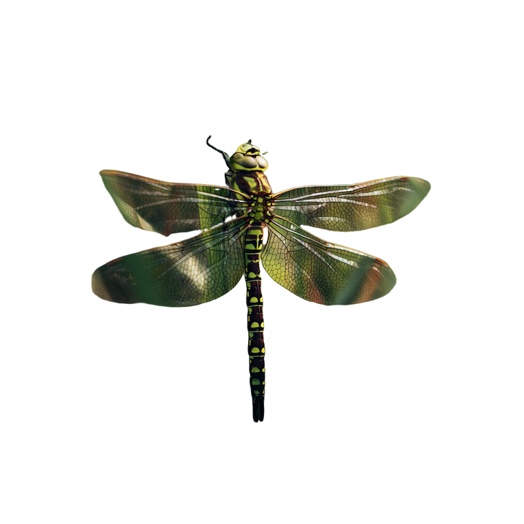 Dragonfly Resting Vinyl Car Decal Sticker – Waterproof & UV-Resistant 3.4133333333333336"