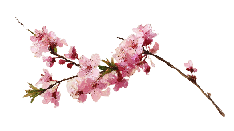 Cherry Blossom Branch V41 Vinyl Car Decal Sticker – Waterproof & UV-Resistant 5.4