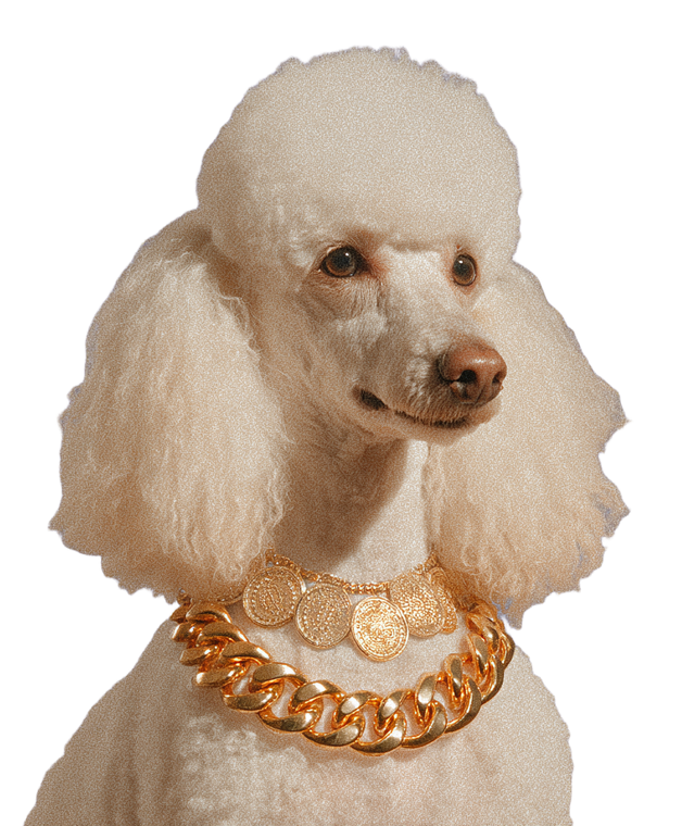 Poodle With Necklace Vinyl Car Decal Sticker – Waterproof & UV-Resistant 8.0"