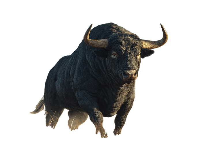Fierce Black Bull Vinyl Car Decal Sticker – Waterproof & UV-Resistant 6.1866666666666665"
