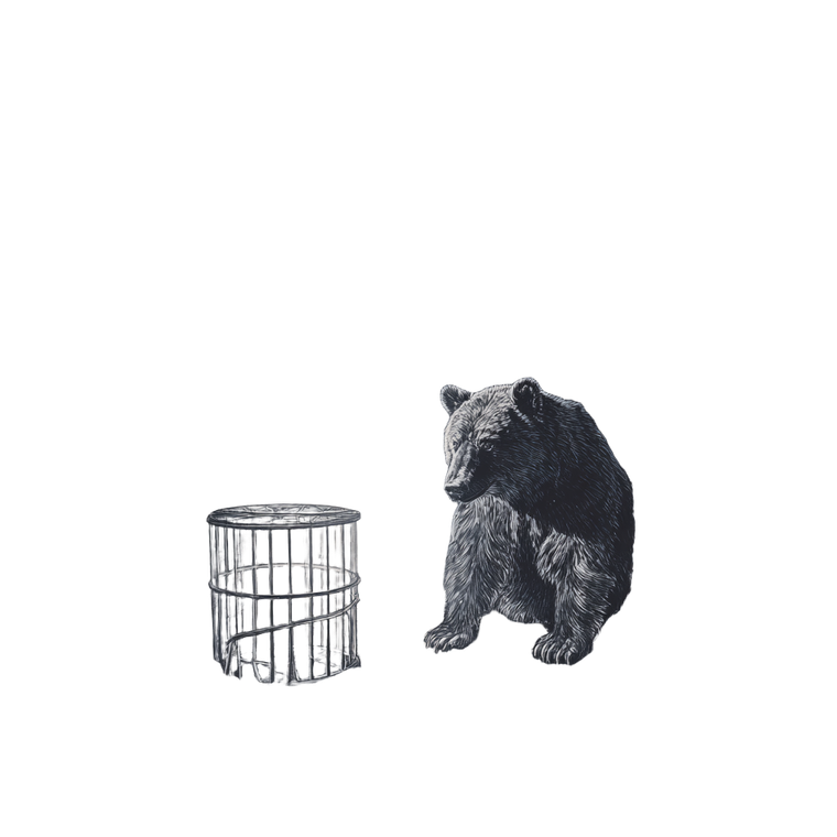 Trapped Bear V2 Vinyl Car Decal Sticker – Waterproof & UV-Resistant 3.4133333333333336"
