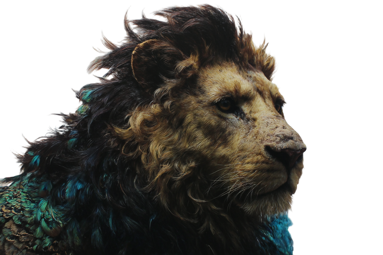 Lion-Peacock Hybrid Vinyl Car Decal Sticker – Waterproof & UV-Resistant 5.97333333333333
