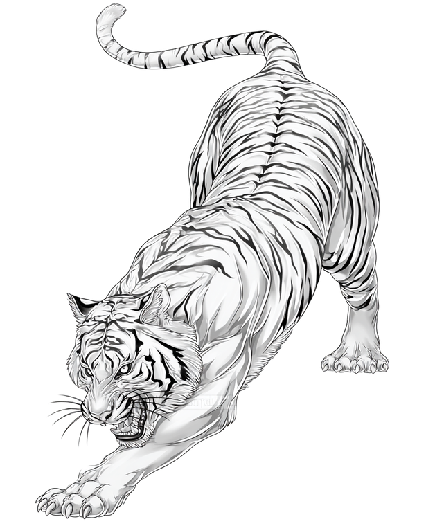Roaring Tiger Tattoo V11 Vinyl Car Decal Sticker – Waterproof & UV-Resistant 8.0"