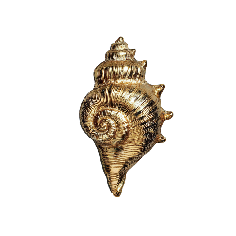 Gold Conch Brooch Vinyl Car Decal Sticker – Waterproof & UV-Resistant 3.4133333333333336"