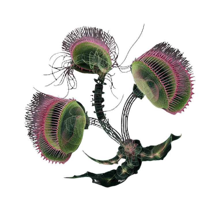 Robot Venus Flytrap Vinyl Car Decal Sticker – Waterproof & UV-Resistant 3.4133333333333336"
