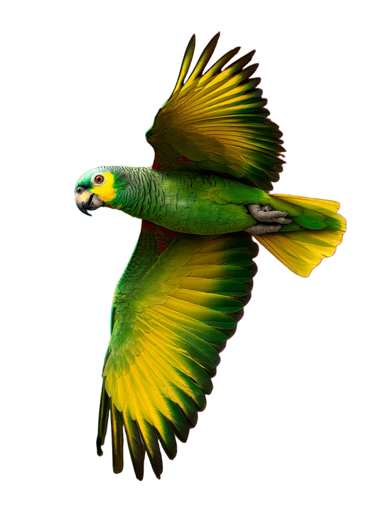 Colorful Parrot Flying V2 Vinyl Car Decal Sticker – Waterproof & UV-Resistant 8.746666666666666"