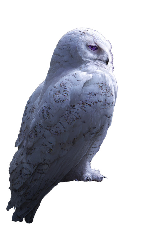 Arcane Rune Owl Vinyl Car Decal Sticker – Waterproof & UV-Resistant 4.4