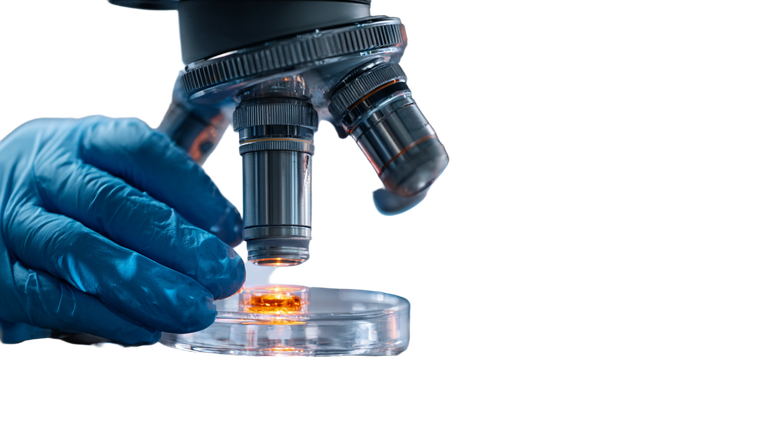 Scientist Examining Sample Vinyl Car Decal Sticker – Waterproof & UV-Resistant 5.4