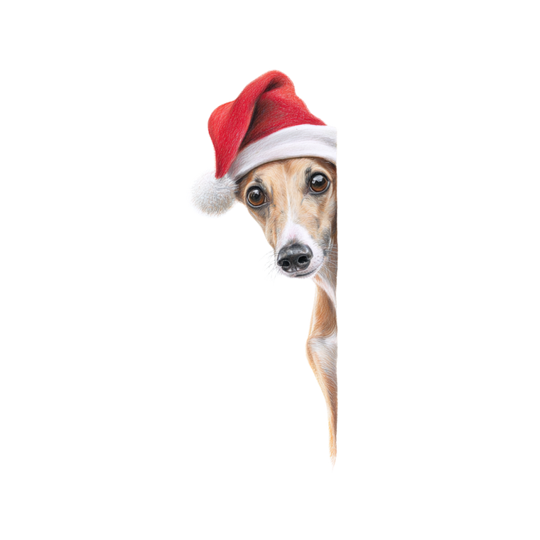 Whippet In Santa Hat Vinyl Car Decal Sticker – Waterproof & UV-Resistant 6.826666666666667"