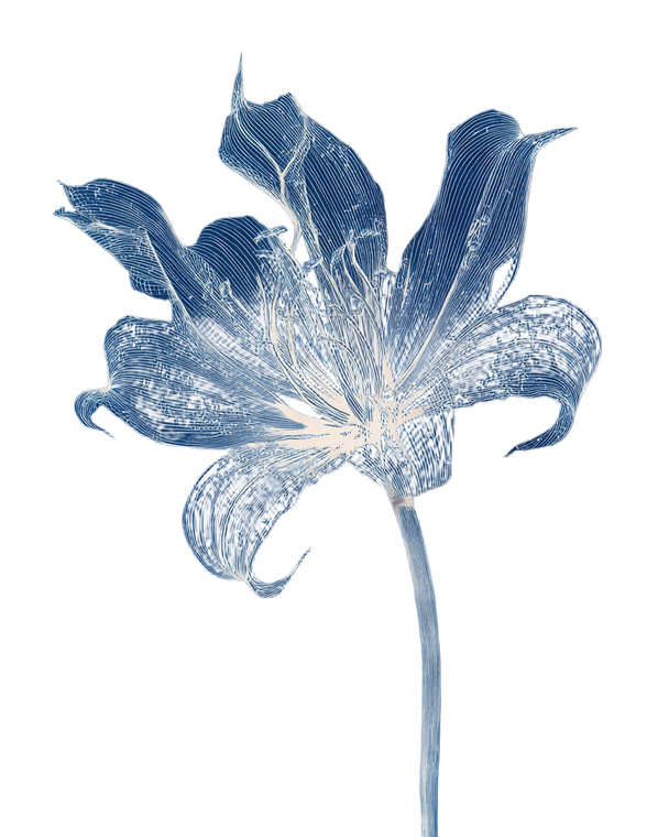 Ethereal Flower Blueprint Vinyl Car Decal Sticker – Waterproof & UV-Resistant 4.0"