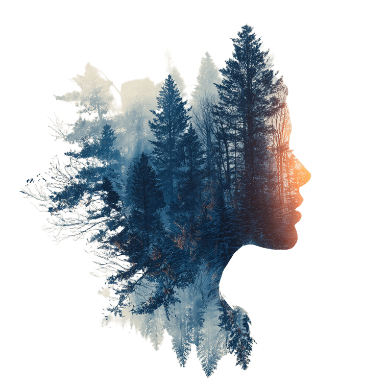 Human-Forest Fusion Vinyl Car Decal Sticker – Waterproof & UV-Resistant 3.4133333333333336"