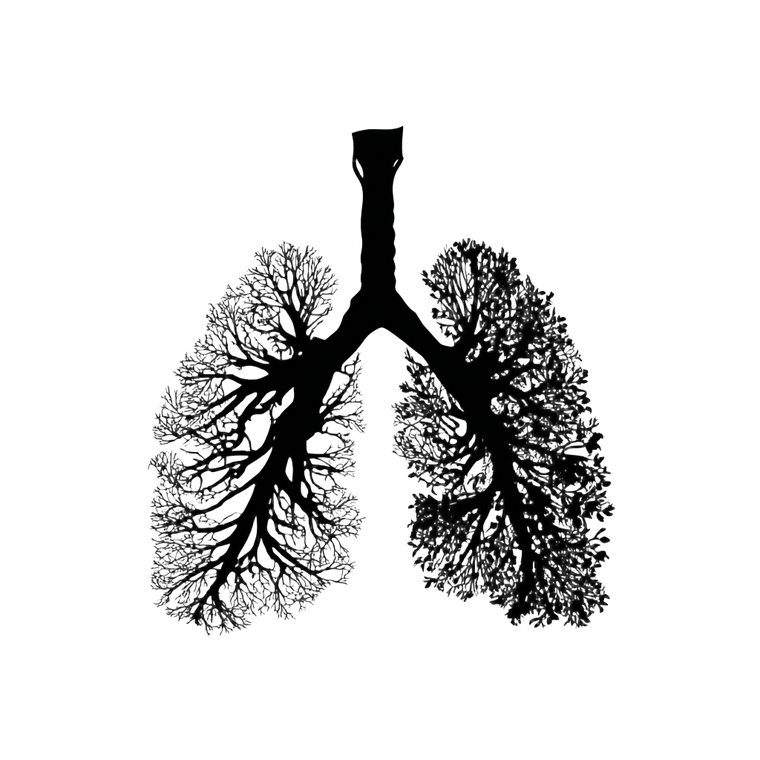 Lungs Svg Vinyl Car Decal Sticker – Waterproof & UV-Resistant 3.4133333333333336"