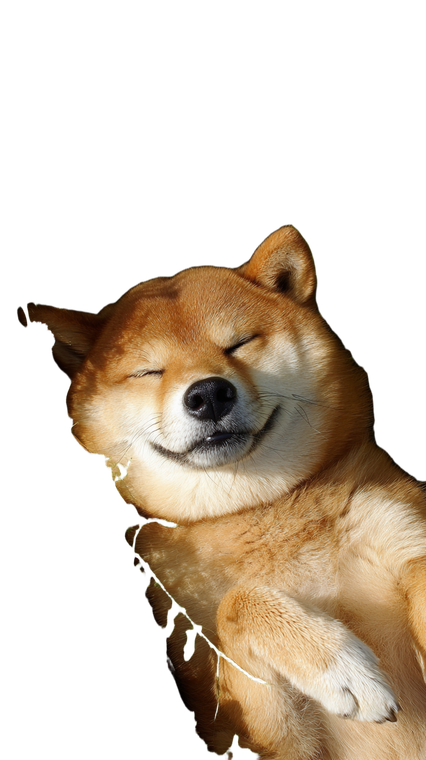 Sleeping Akita Inu Vinyl Car Decal Sticker – Waterproof & UV-Resistant 9.706666666666667"