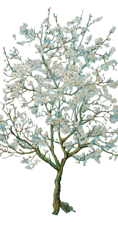 White Plum Blossoms V3 Vinyl Car Decal Sticker – Waterproof & UV-Resistant 10.2