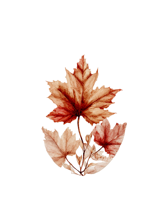 Maple Leaf Design Vinyl Car Decal Sticker – Waterproof & UV-Resistant 4.1066666666666665"