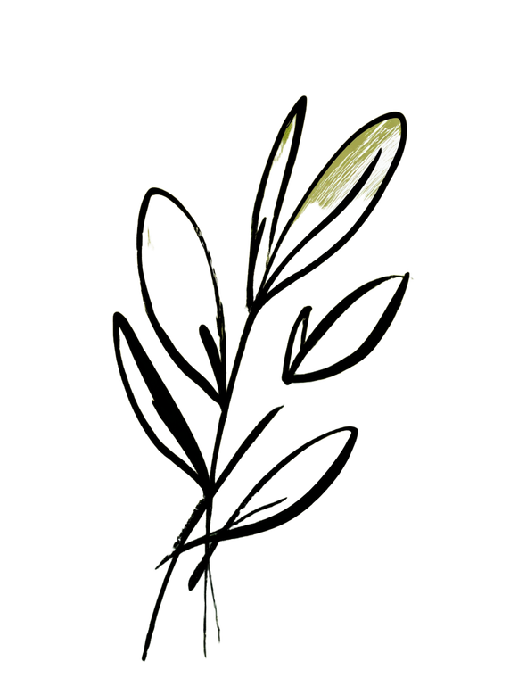 Olive Branch Sketch V3 Vinyl Car Decal Sticker – Waterproof & UV-Resistant 4.1066666666666665"